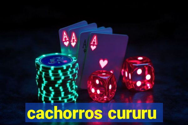 cachorros cururu